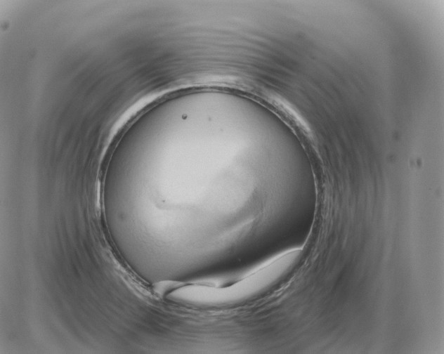 X0000086021324200704201911