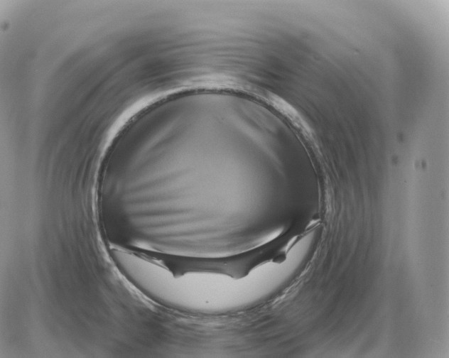 X0000086021334200704201911
