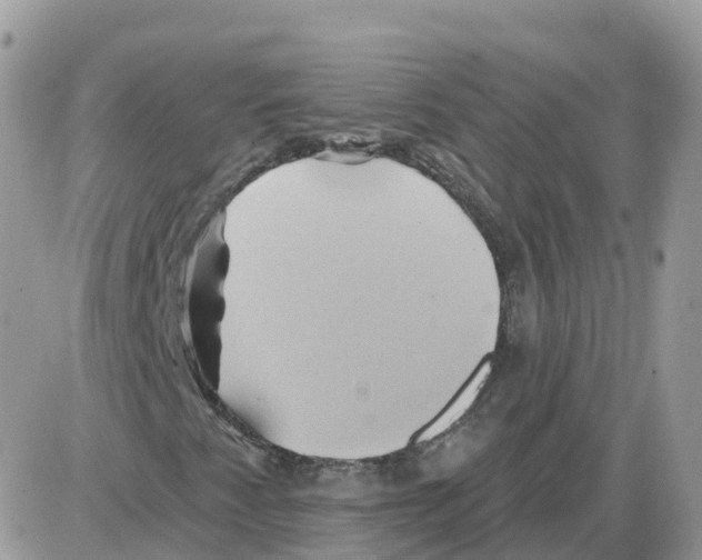 X0000086021345200704201911