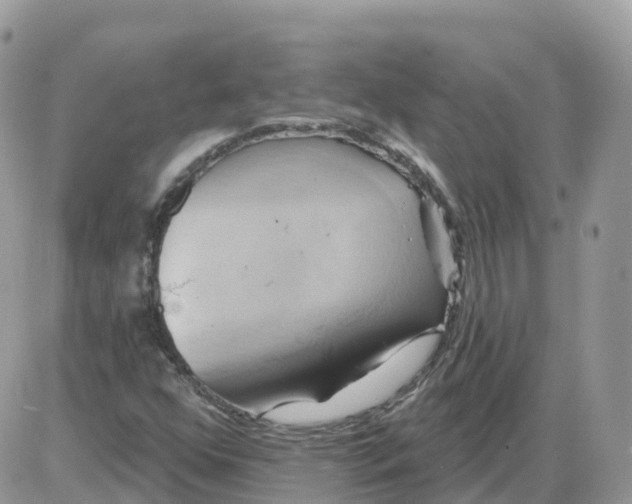 X0000086021352200704201911