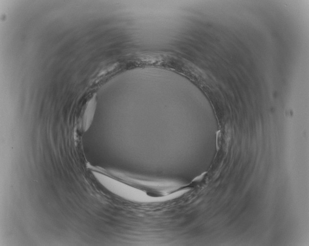 X0000086021394200704201909