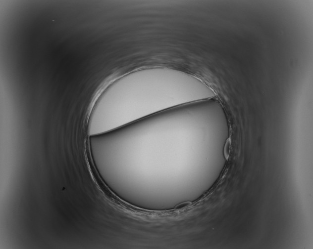 X0000086030003200703231005