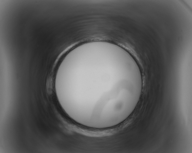 X0000086030012200703231005
