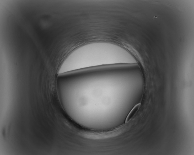 X0000086030017200703231004