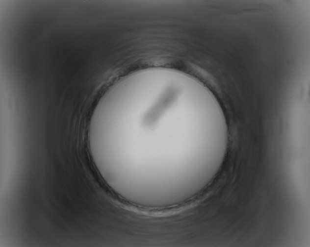 X0000086030018200703231004