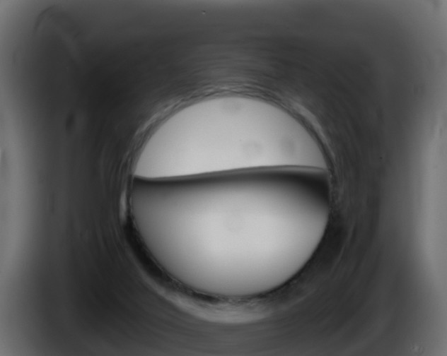 X0000086030020200703231004