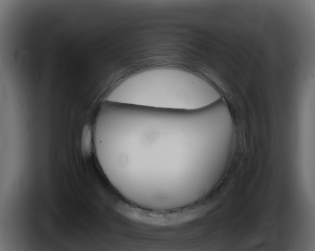 X0000086030022200703231004