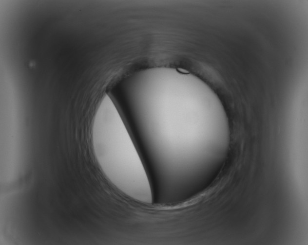 X0000086030025200703231004