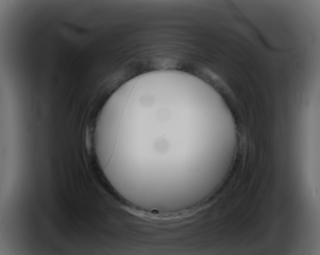 X0000086030026200703231004
