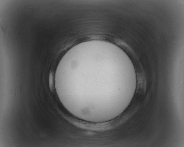 X0000086030028200703231004