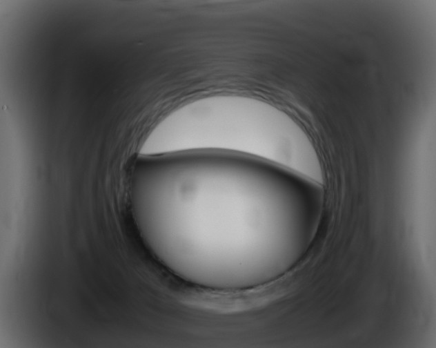 X0000086030029200703231004