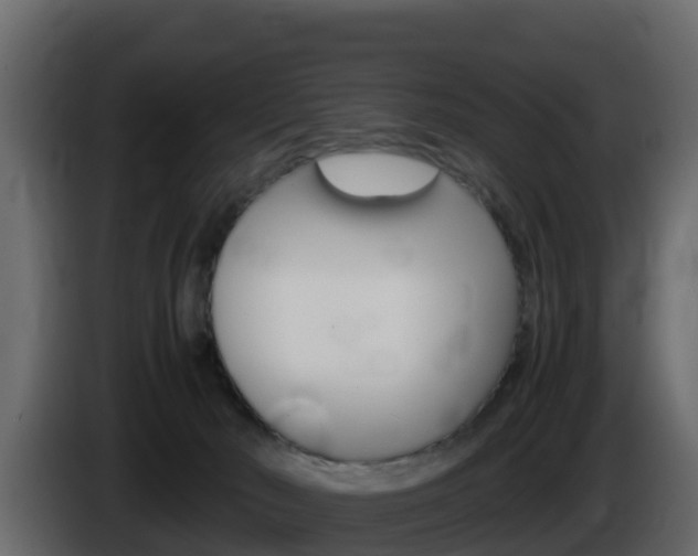 X0000086030030200703231004
