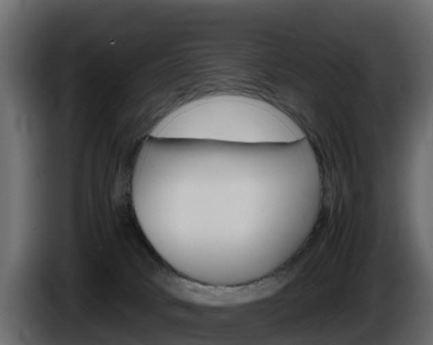 X0000086030034200703231004