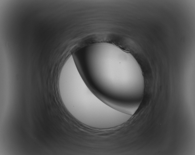 X0000086030035200703231004