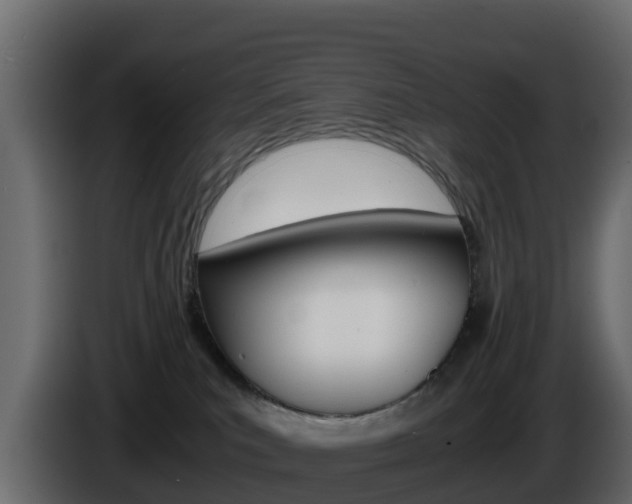 X0000086030039200703231004