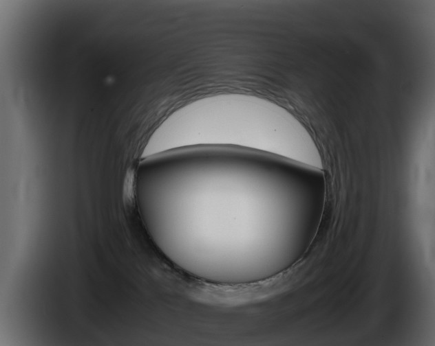 X0000086030041200703231004