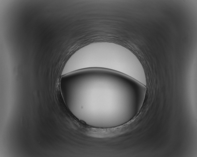 X0000086030045200703231004