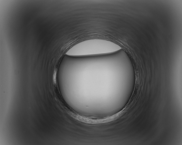 X0000086030047200703231004