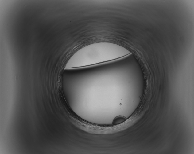 X0000086030048200703231004