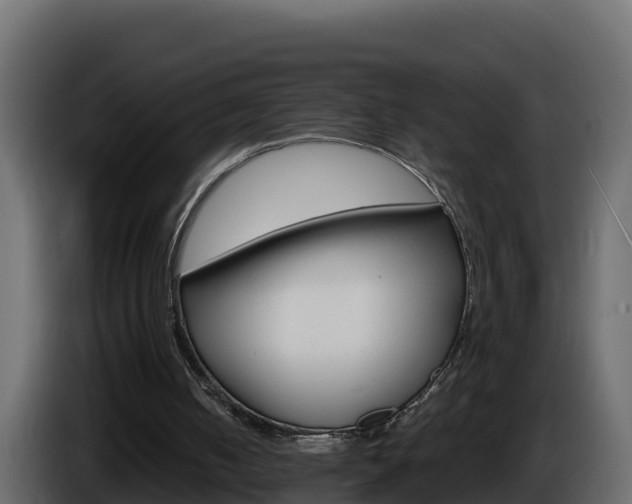 X0000086030050200703231003