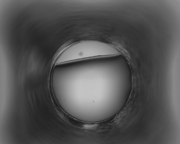 X0000086030051200703231003