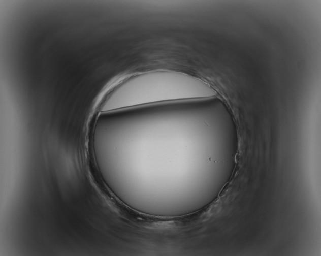 X0000086030054200703231003