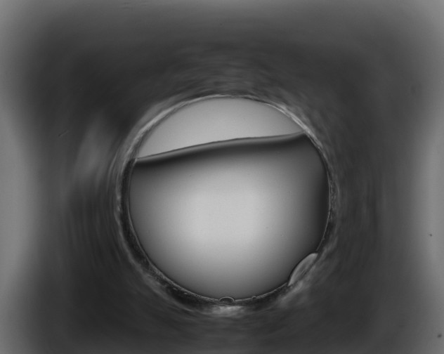 X0000086030055200703231003