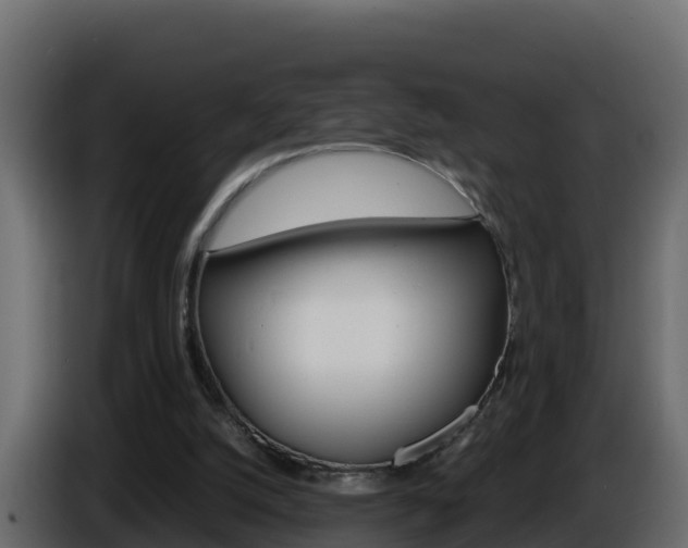 X0000086030056200703231003