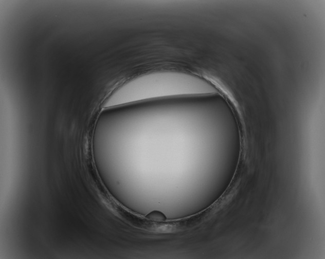 X0000086030057200703231003