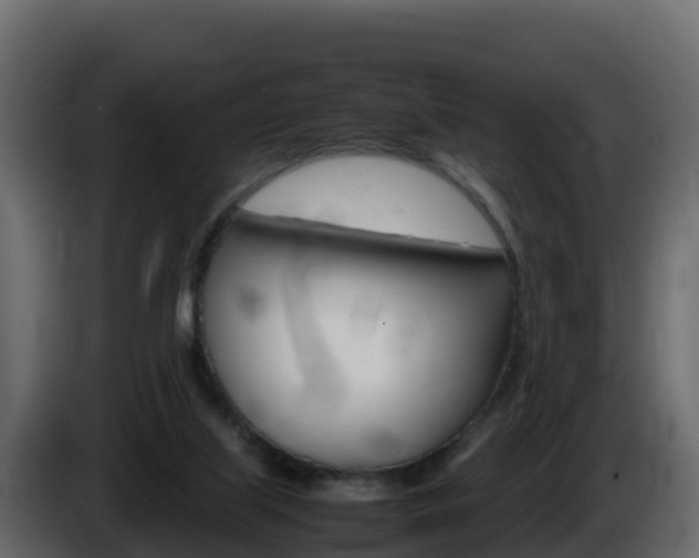 X0000086030067200703231004
