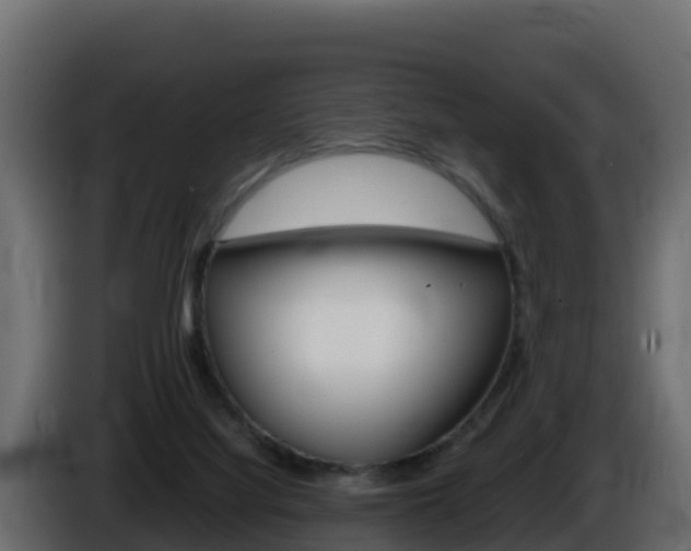 X0000086030068200703231004