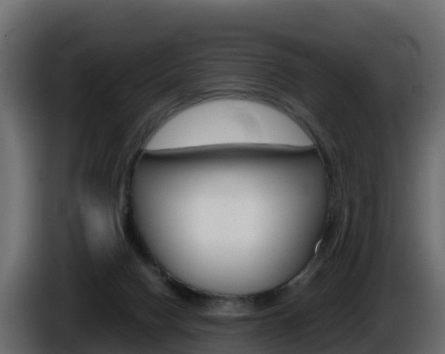 X0000086030074200703231004