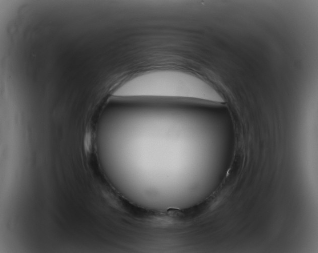 X0000086030076200703231004