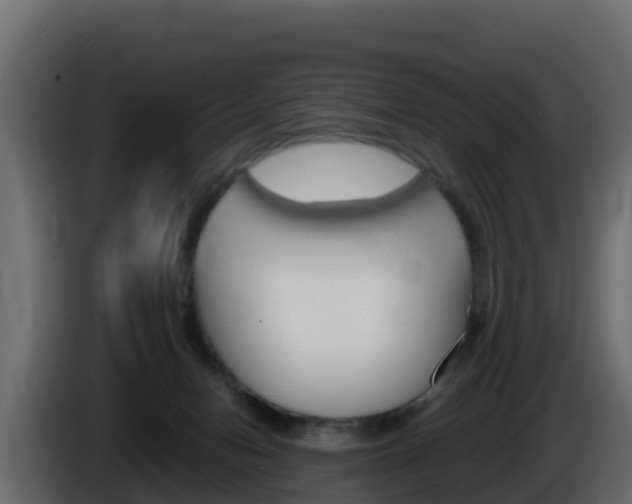 X0000086030078200703231004