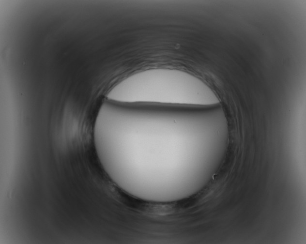 X0000086030081200703231004