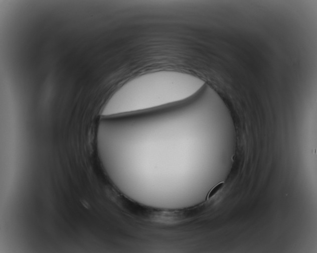 X0000086030082200703231004
