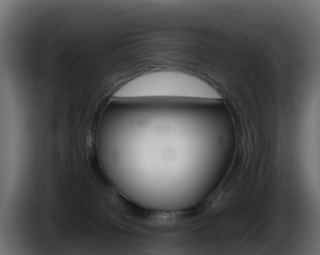 X0000086030084200703231004