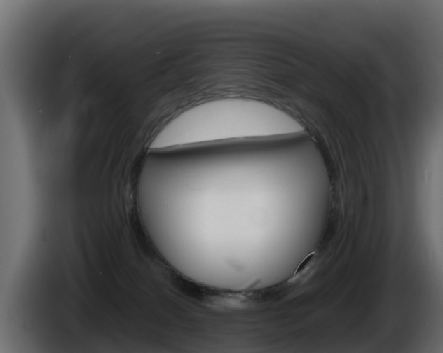 X0000086030086200703231004
