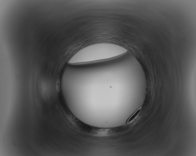 X0000086030090200703231004