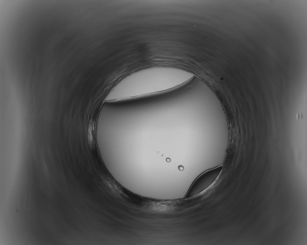 X0000086030094200703231004