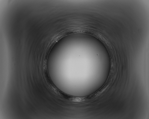 X0000086030096200703231004