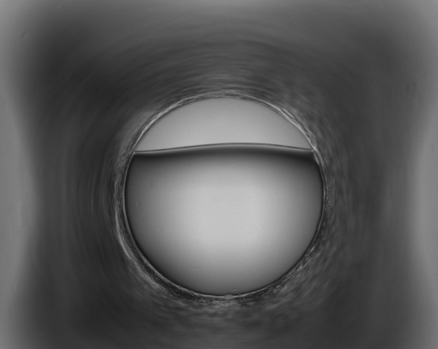 X0000086030097200703231003