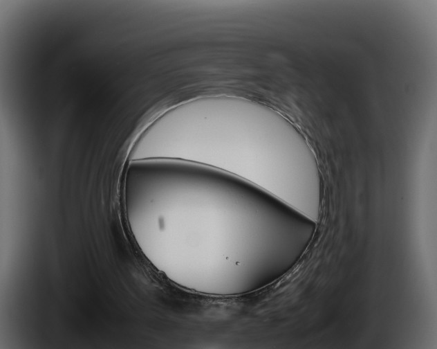 X0000086030099200703231003