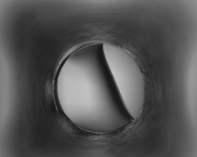 X0000086030100200703231003