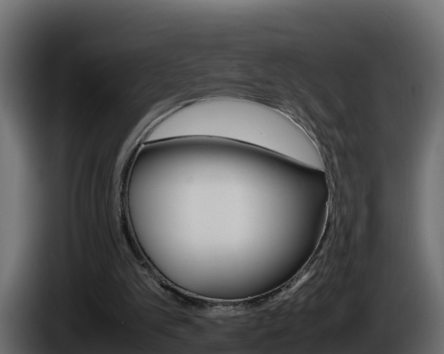 X0000086030101200703231003