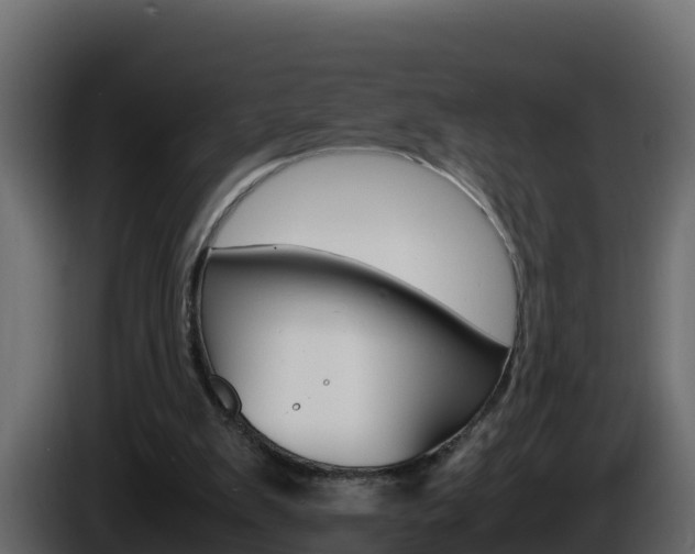 X0000086030103200703231003