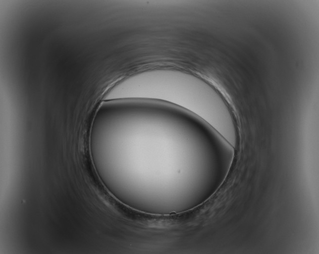 X0000086030105200703231003