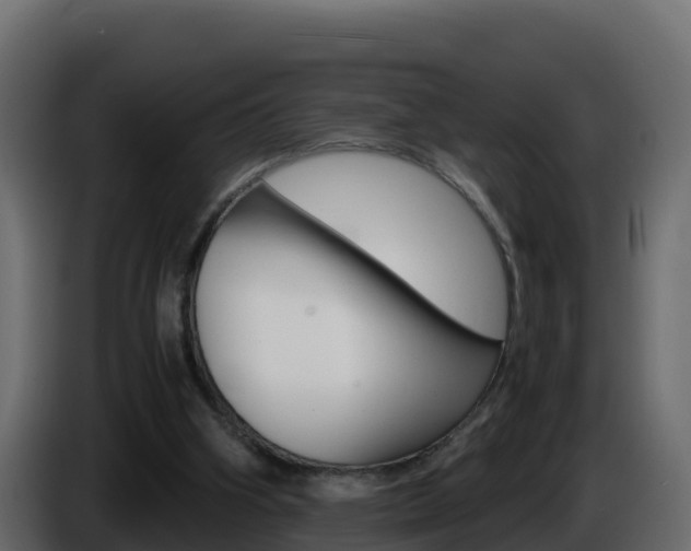 X0000086030106200703231003