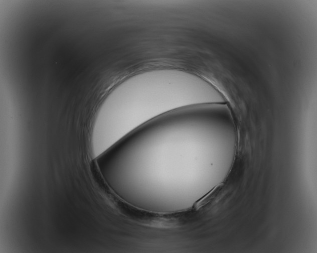 X0000086030109200703231003