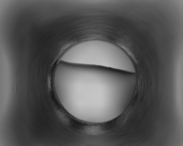 X0000086030110200703231003